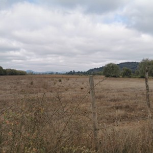 Parcela