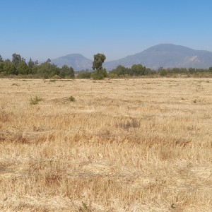 Parcela 21.90 hectáreas